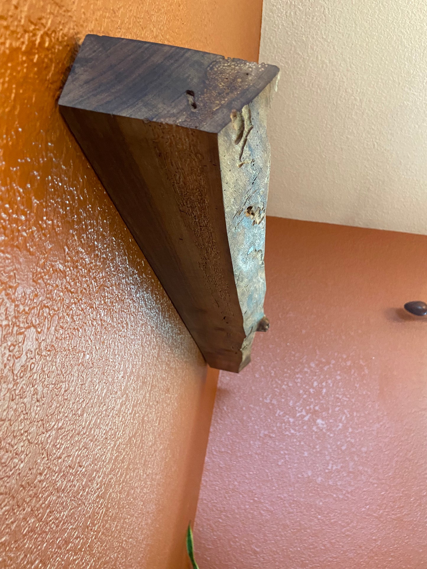 Live Edge Floating Shelf | Black Walnut | Heavy Duty | Kitchen, Bathroom, Bedroom, Office Shelves | Hardware Included
